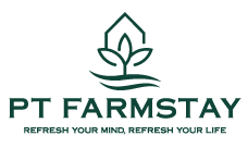 PT Farmstay – Thành viên mới thuộc PTG đang dần hoàn thiện từng ngày